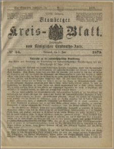 Bromberger Kreis-Blatt, 1878, nr 45