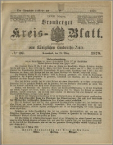 Bromberger Kreis-Blatt, 1879, nr 26