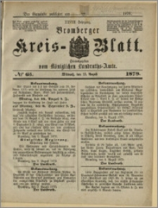 Bromberger Kreis-Blatt, 1879, nr 65