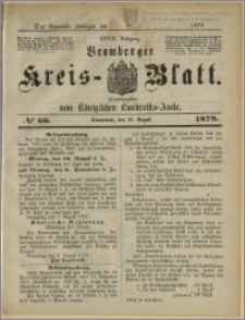 Bromberger Kreis-Blatt, 1879, nr 66
