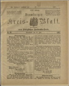 Bromberger Kreis-Blatt, 1881, nr 49