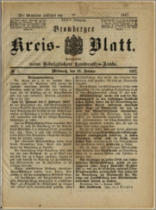 Bromberger Kreis-Blatt, 1887, nr 3
