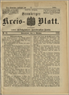 Bromberger Kreis-Blatt, 1889, nr 80