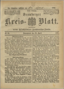 Bromberger Kreis-Blatt, 1893, nr 29