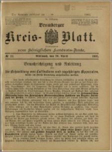 Bromberger Kreis-Blatt, 1905, nr 33