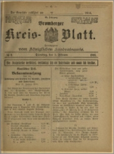 Bromberger Kreis-Blatt, 1916, nr 9