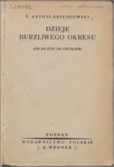 Dzieje burzliwego okresu : (od szczytu do otchłani)
