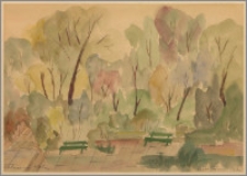 Żelazowa Wola. Park