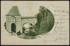 Toruń - zamek krzyżacki - Gdanisko - Thorn. Der Dansker