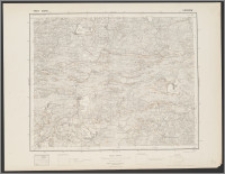 Pas 41 Słup 41 Lubieszów