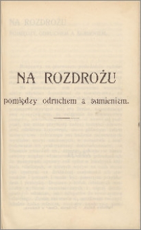 Na rozdrożu : pomiędzy odruchem i sumieniem