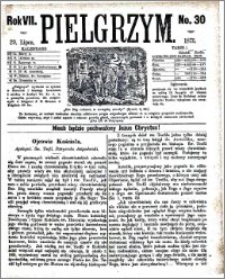 Pielgrzym, pismo religijne dla ludu 1875 nr 30
