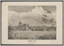 Panorama Torunia
