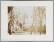 [Toruń, zamek krzyżacki]