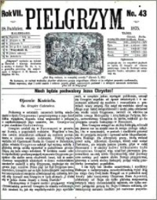 Pielgrzym, pismo religijne dla ludu 1875 nr 43