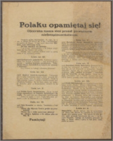 Polaku opamiętaj się! : Ojczyzna nasza stoi przed poważnem niebezpieczeństwem.