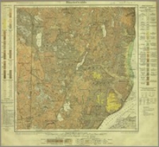 Münsterwalde, Gradabsteilung 33, Blatt 15