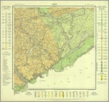 Gollub, Gradabteilung 33, Blatt 53