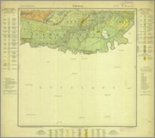 Schewen, Gradabteilung 33, Blatt 58