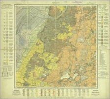 Garnsee, Gradabteilung 33, Blatt 22