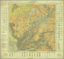 Reggenhausen, Gradabteilung 33, Blatt 28