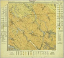 Dombrowka, Gradabteilung 48, Blatt 39
