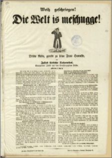 Weih geschriegen! Die Welt to meschugge! : Dritte Rede, geredt zu seine Frau Hannche