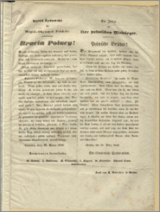Naród Żydowski do Współ-Obywateli Polaków. : Bracia Polacy!