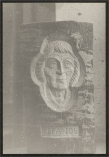 [Kopernik w drzewie]