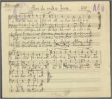 Flos de radice Jesse : [na chór męski]