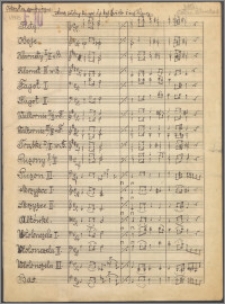 Marsz żałobny ku czci śp. Kap. Żwirki i inż. Wigury : [na orkiestrę symfoniczną]