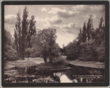 Magdeburg - Friedrich Wilhelmsgarten : Jnselteich mit Blick auf den Dom