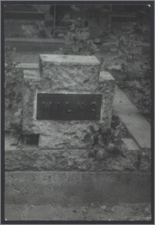 Grób śp. Aleksandra Krzyżanowskiego