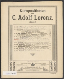In der Dämmerung : Tonbild : E dur : für Harmonium (oder Klavier), zwei Violinen und Violoncell : Op. 19 B