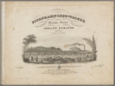 Eisenbahn-Lust-Walzer : für das Piano-Forte : 89tes Werk