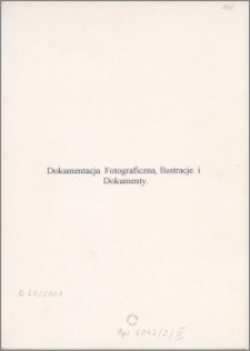 Dokumentacja wstępnych prac badawczych i konserwatorskich Pięknej Piety z Nowego Miasta Lubawskiego, cz. II