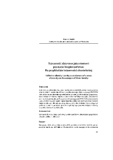 Tożsamość zbiorowa jako element poczucia bezpieczeństwa : Na przykładzie tożsamości słowiańskiej