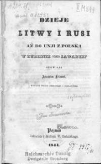 Dzieje Litwy i Rusi aż do unii z Polską w Lublinie 1569 zawartej
