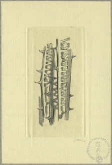 Ekslibris Kamy Wróblewskiej