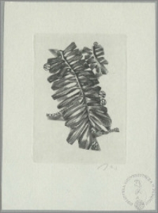 Ex bibliotheca Bogny Jakubowskiej III