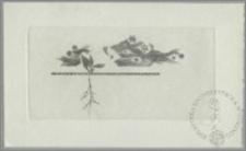 Meilleurs voeux 1965 Wojciech Bogna Jakubowski. Malbork Zamek Polska