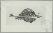 Meilleurs voeux 1966 Bogna, Martynka, Wojciech Jakubowski. Malbork Zamek Polska