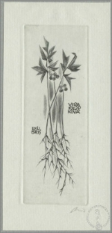 Ekslibris Vera Krupkova