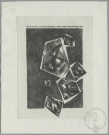 Dzieje Bursztynu. Muzeum Zamkowe w Malborku - 1965