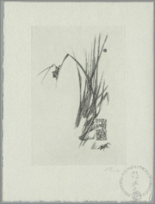 Ekslibris Wandy [i] Stefana Wojciechowskich