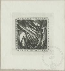 Ex collectione Alberta Collarta IV