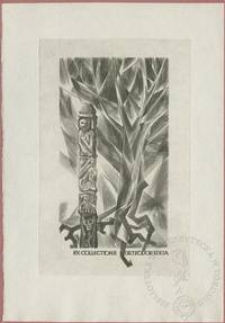 Ex collectione Dr Teodor Kikta