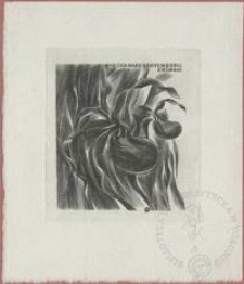 Ekslibris dra Gerharda Kreyenberga