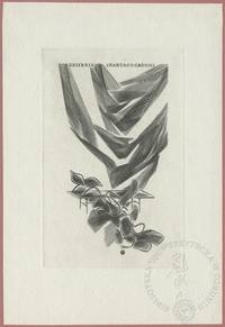 Ekslibris Spartaco Cadioli