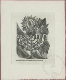 Ekslibris Teresy i Ludwika Grycendlerów